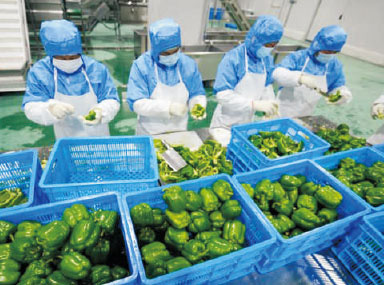 无锡蔬菜配送公司分拣的主要流程