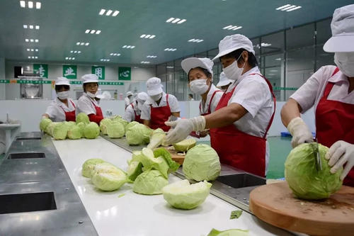 无锡蔬菜配送南瓜有哪些食疗方法