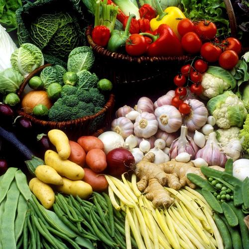 无锡蔬菜配送如何保持新鲜