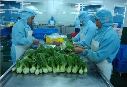 无锡蔬菜配送厂家影响产品跌价的因素